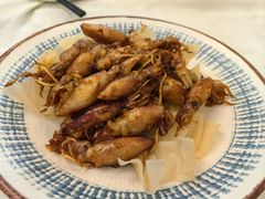 美极小羔鱿-汇兴源餐馆(小北路店)
