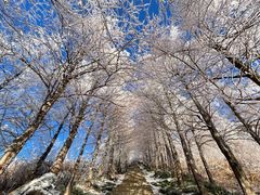 -东白山