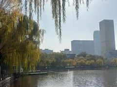 -文瀛公园