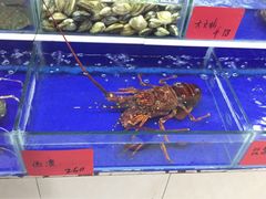 青年公社海鲜城-海鲜城大家餐厅