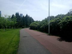 -艾溪湖湿地公园