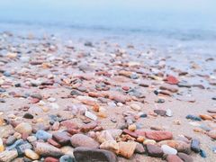 -悦海公园