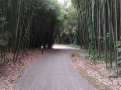 -苏州河梦清园环保主题公园