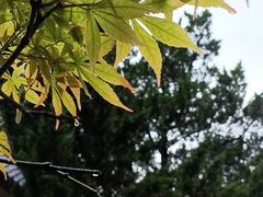 -西安市纺织公园