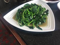 -云中小雅