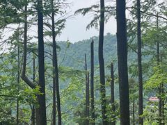-莫干山风景区