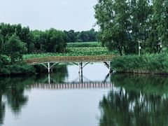 -白渔泡湿地公园