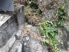 -丽江虎跳峡景区-售票处