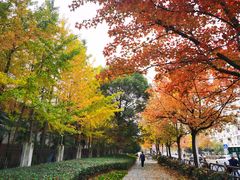 -杭州电子科技大学(下沙校区)