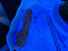 -皇马纯KTV(景田店)