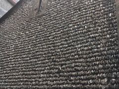 -小洲村