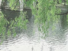 -花溪公园