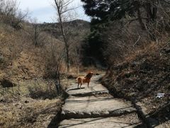 -蟠龙山长城景区