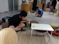 -Heymao猫咖.咖啡厅(东门店)