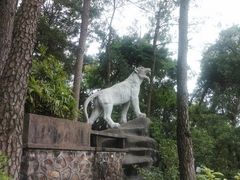 -白云山风景名胜区