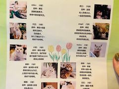 -小时光咖啡馆(北锣鼓巷店)