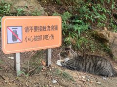 -大连森林动物园