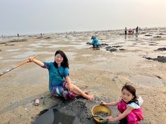 -红树林天天赶海