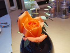 -佐度王子扒房(爱建卓展店)