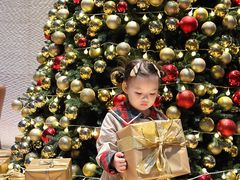 -博林天瑞喜来登酒店·西丽尚膳