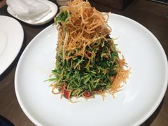 巧拌豆苗-四季民福烤鸭店(西单华威约饭街店)