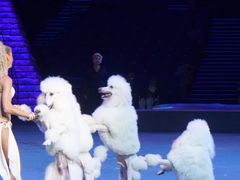 -珠海横琴长隆《卡卡虎奇遇记》