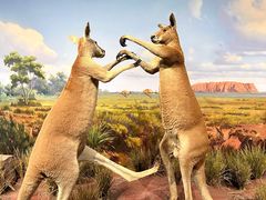 -陕西自然博物馆