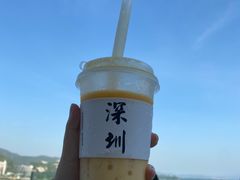 -大梅沙海滨公园