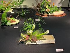 -今日陶艺(富力广场店)