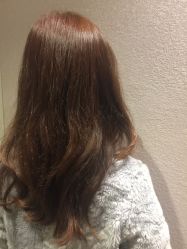 -SALON V