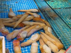 -驻海渔市(置信店)