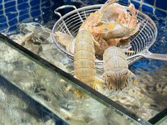 -烧货·活海鲜炭烧(湖滨商业街店)