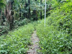 -素山寺森林公园