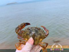 -天津东疆湾沙滩景区
