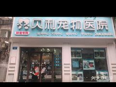 -贝利宠物医院·骨科·眼科·肿瘤转诊中心(南坪诊疗中心)
