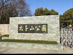 -太子山公园(园东路)