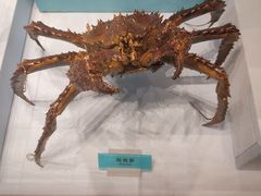 -天津自然博物馆