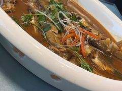 -大连湾旭日·家宴·海肠捞饭(马栏广场店)