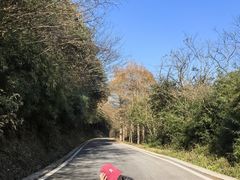 -山王坪喀斯特国家生态公园