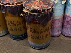 -雪灵魔法世界SHELLY’S TAROT(大良桂畔里店)