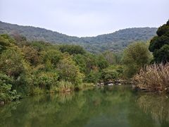 -习家池