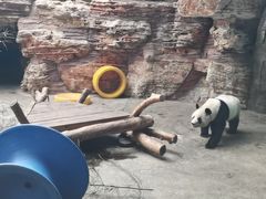 -石家庄市动物园