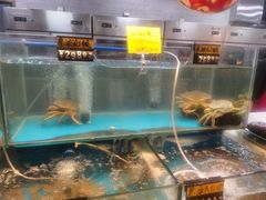 -老宁波1381餐厅(宏泰广场店)