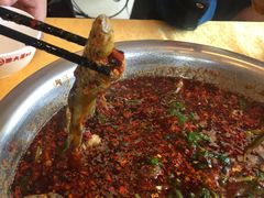 -胖大姐黄辣丁鱼庄(新津店)