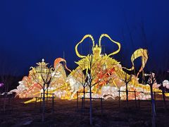-淄博花灯齐彩城