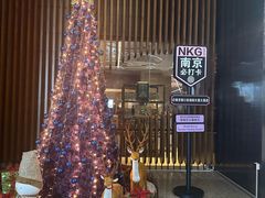 -南京禄口机场雅高铂尔曼大酒店