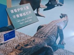 -蓬莱欧乐堡海洋极地世界
