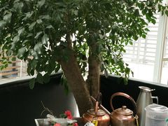 -王家渡火锅店(棕榈泉店)