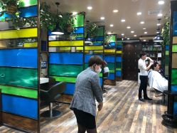 -雅梵伊容·护肤·造型