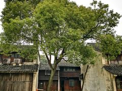 -乌镇东栅景区